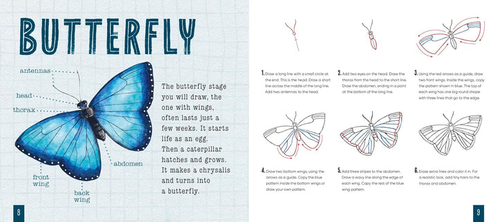 How to Draw Bugs