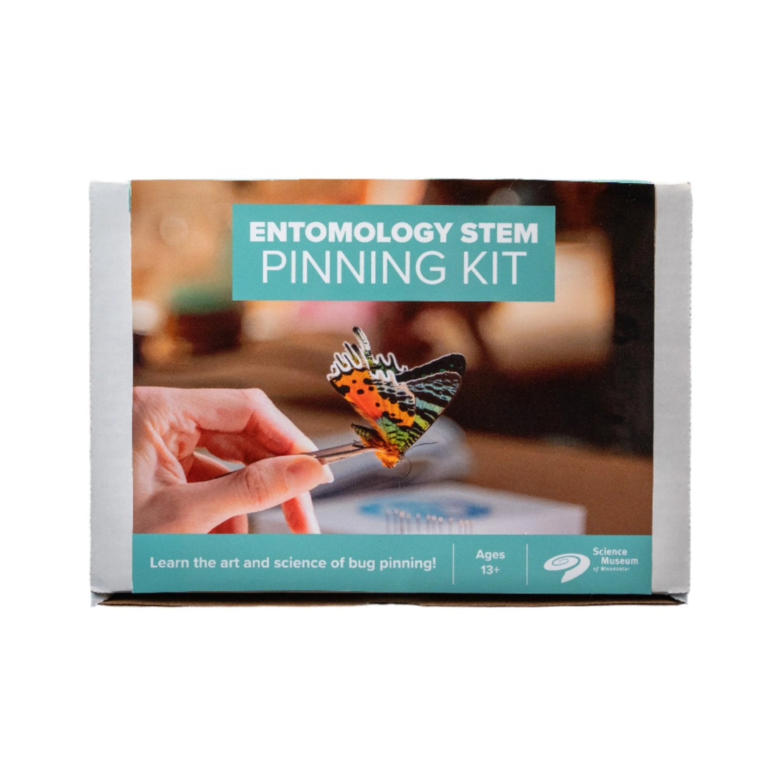 Entomology Butterfly Pinning Kit