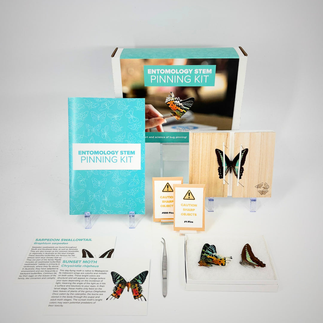 Entomology Butterfly Pinning Kit