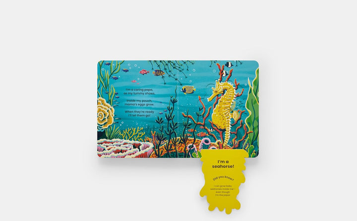 Who's Hiding? Under the Sea: A Lift-the-Flap Book