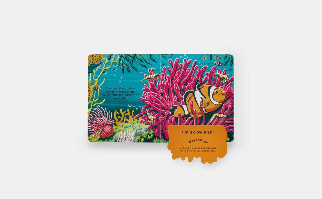 Who's Hiding? Under the Sea: A Lift-the-Flap Book