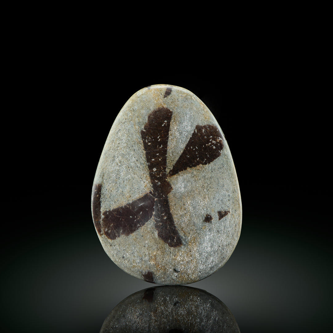 Staurolite, Kola Peninsula Russia