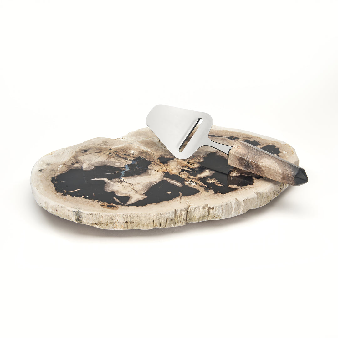 Petrified Wood Board with Knife