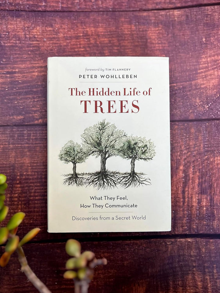 Hidden Life of Trees: What They Feel, How They Communicate―Discoveries from A Secret World