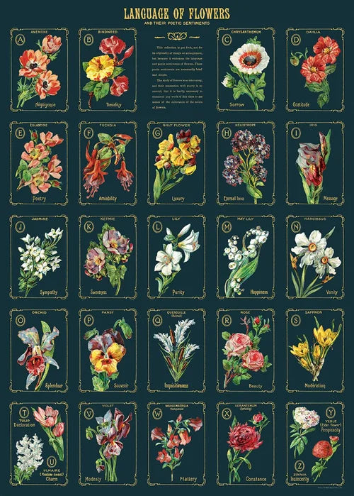 Language of Flowers Poster