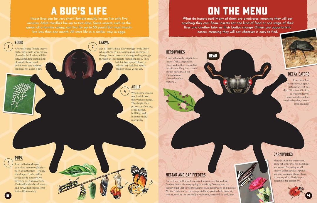 Inside Out Insects: Discover Nature's Creeping, Crawling, Flying Wonders