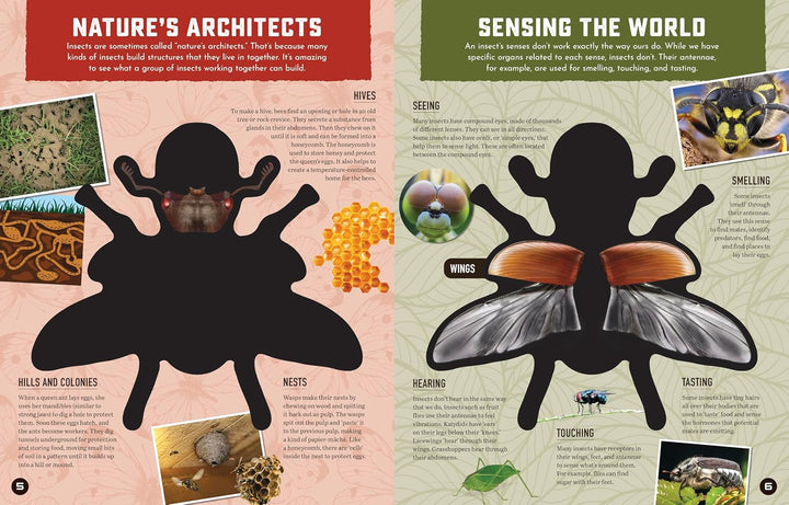 Inside Out Insects: Discover Nature's Creeping, Crawling, Flying Wonders
