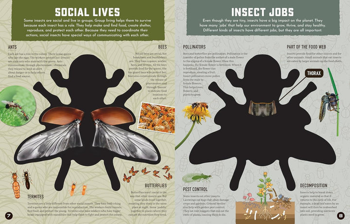 Inside Out Insects: Discover Nature's Creeping, Crawling, Flying Wonders