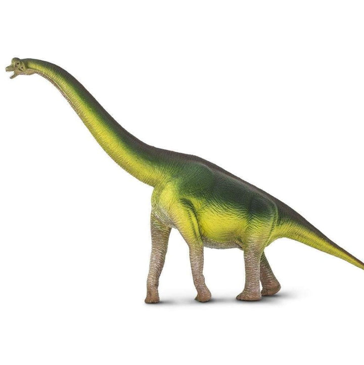Brachiosaurus Dinosaur Replica Toy