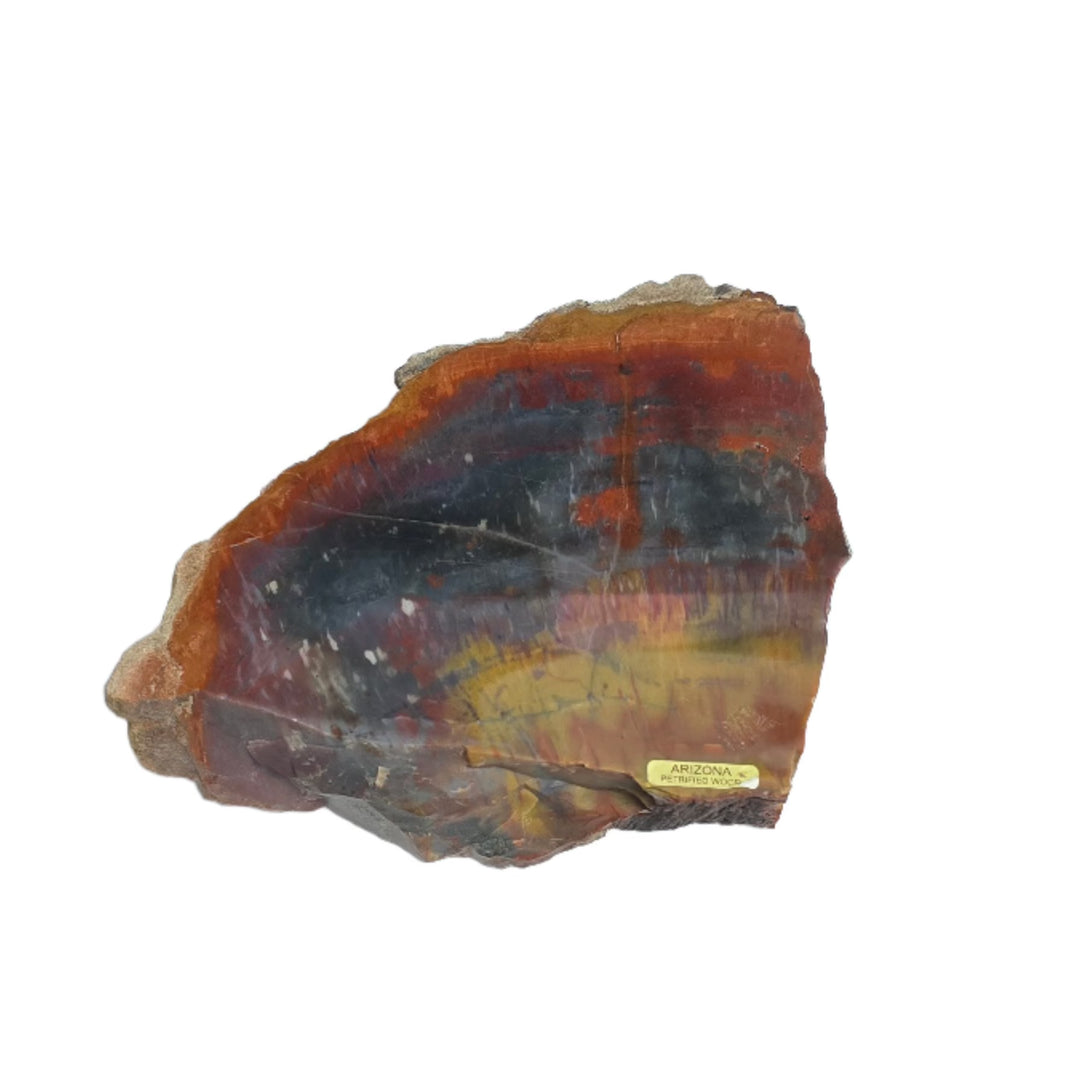 Petrified Wood