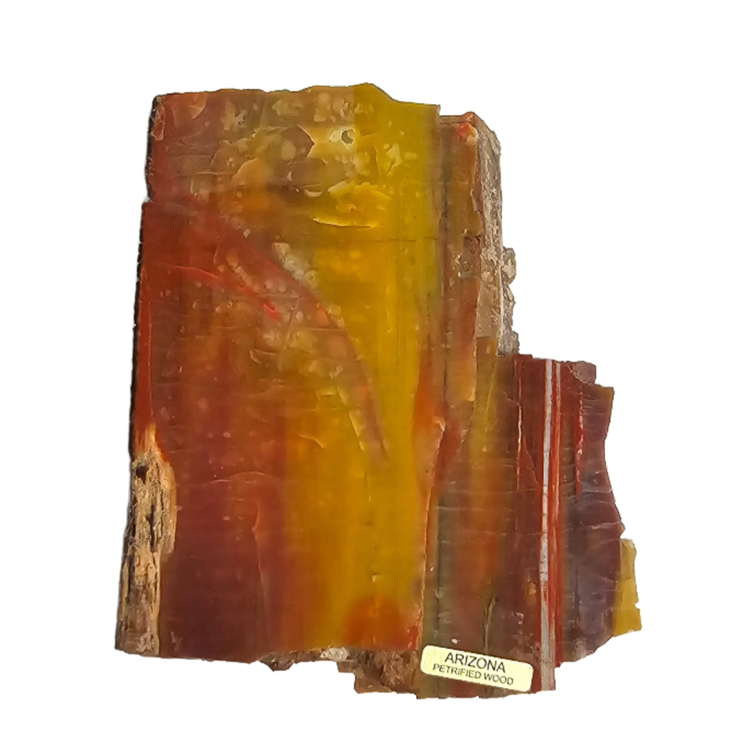 Petrified Wood