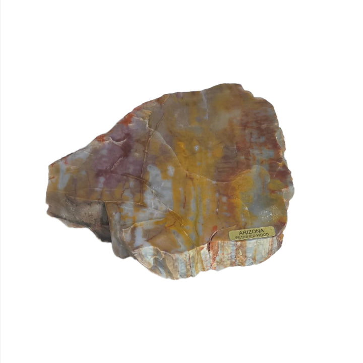 Petrified Wood