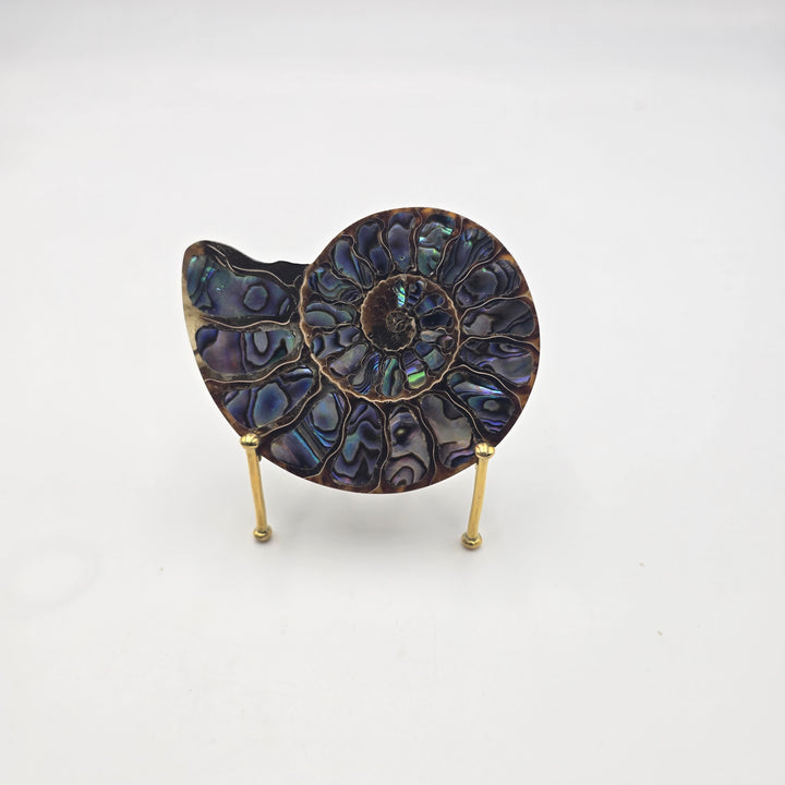 Ammonite with Abalone Shell Inlay