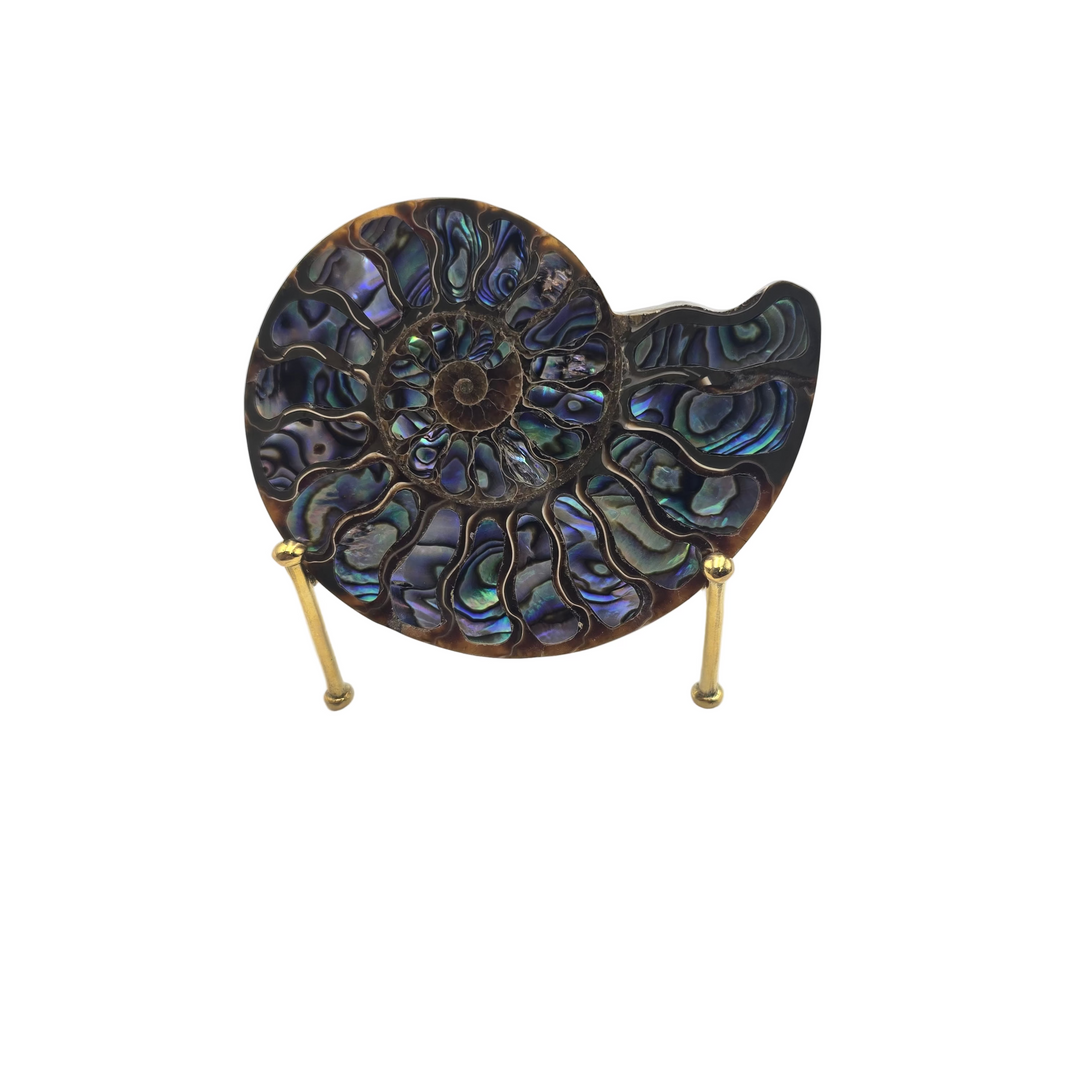 Ammonite with Abalone Shell Inlay