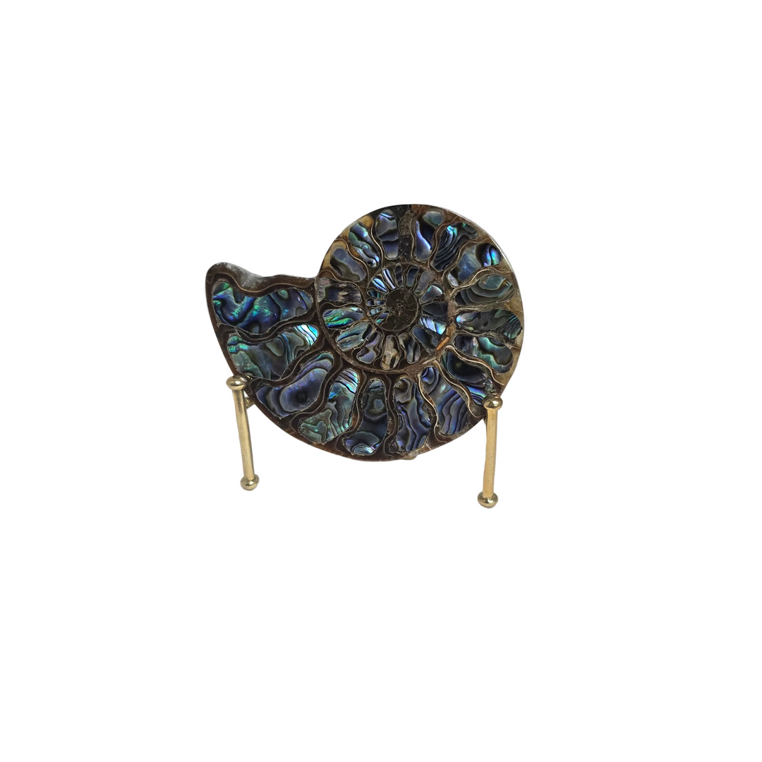 Ammonite with Abalone Shell Inlay