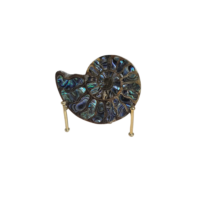 Ammonite with Abalone Shell Inlay