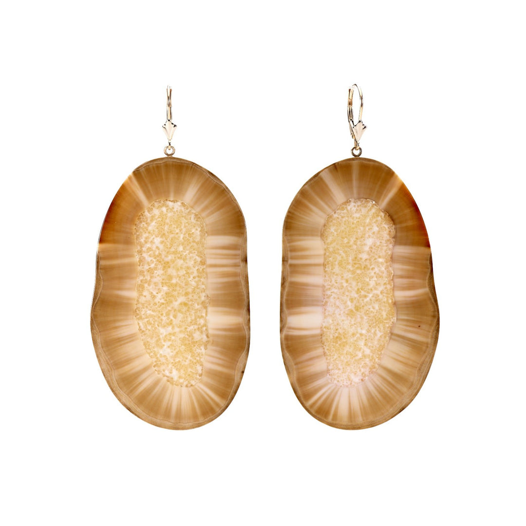 Fossilized Prehistoric Walrus Tusk Earrings