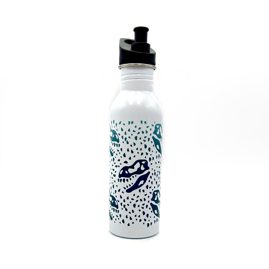 HMNS Chit Chat T. rex Bottle, 16 oz