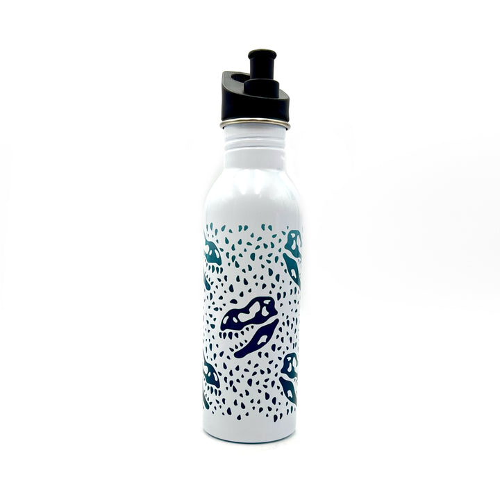 HMNS Chit Chat T. rex Bottle, 16 oz