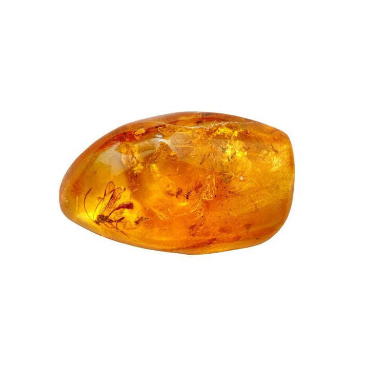 High Quality Amber with Insect Inclusions