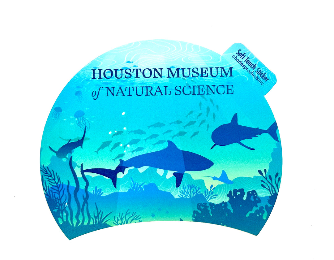 HMNS Hidden Gems - Shark Sticker