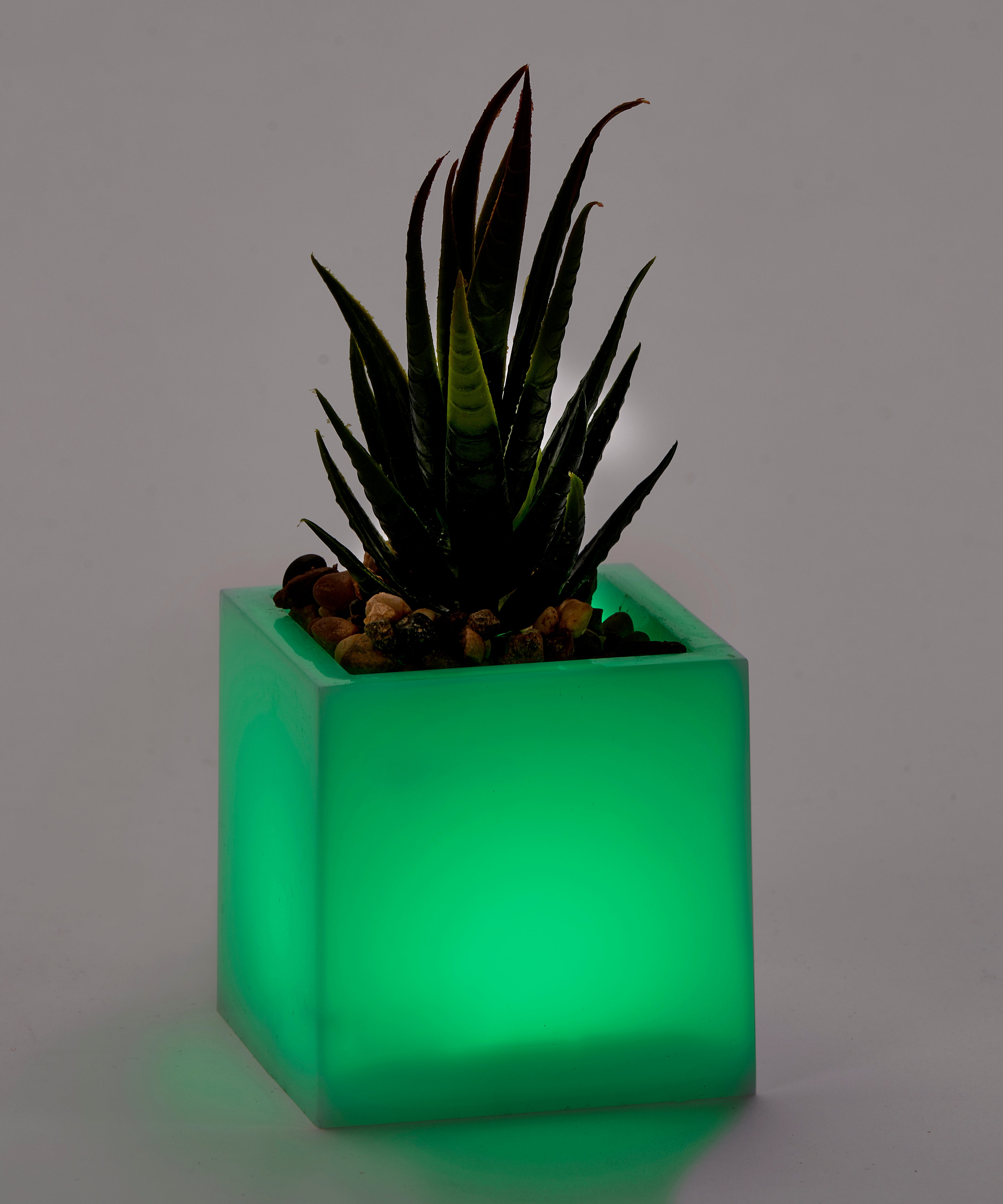 Light-Up Succulent with Color Changing LED