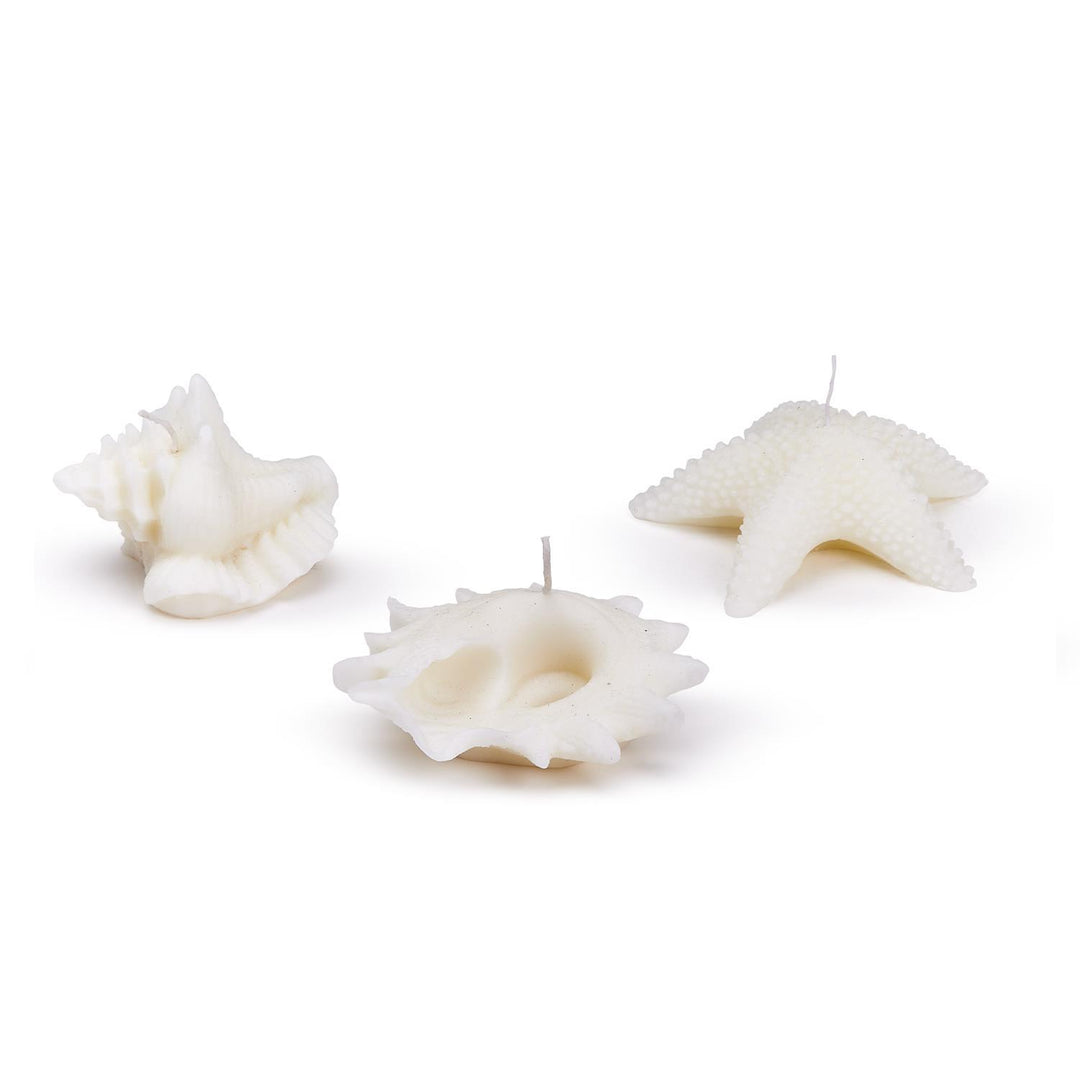 Seashell Decorative Candle