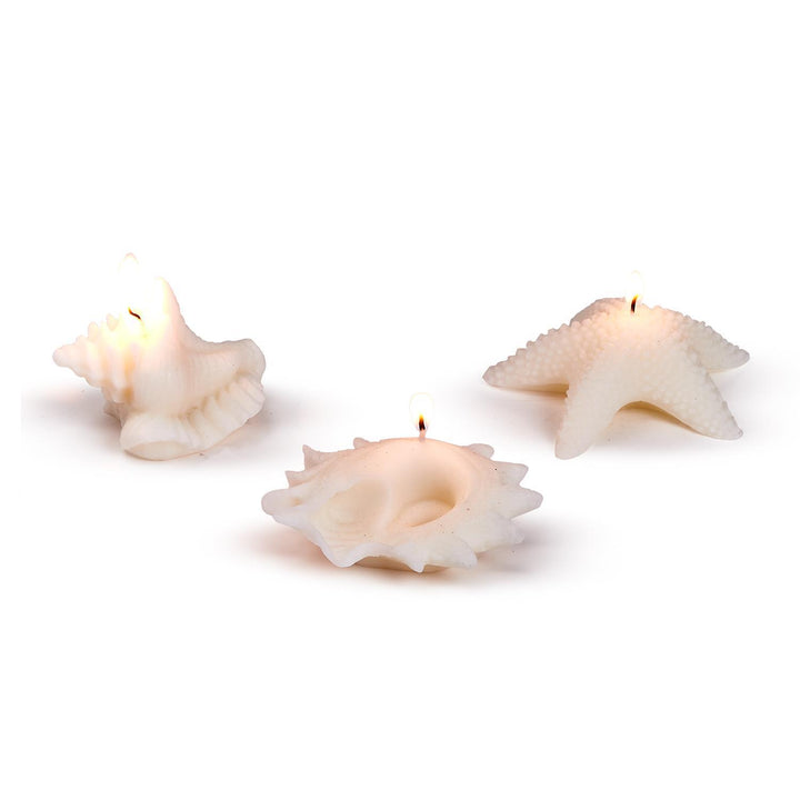 Seashell Decorative Candle