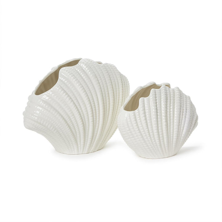 White Shell Vase- Large