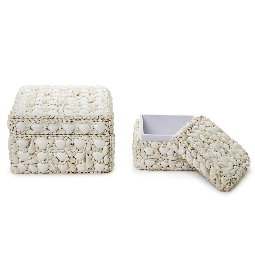Shell Rectangle Box, Large