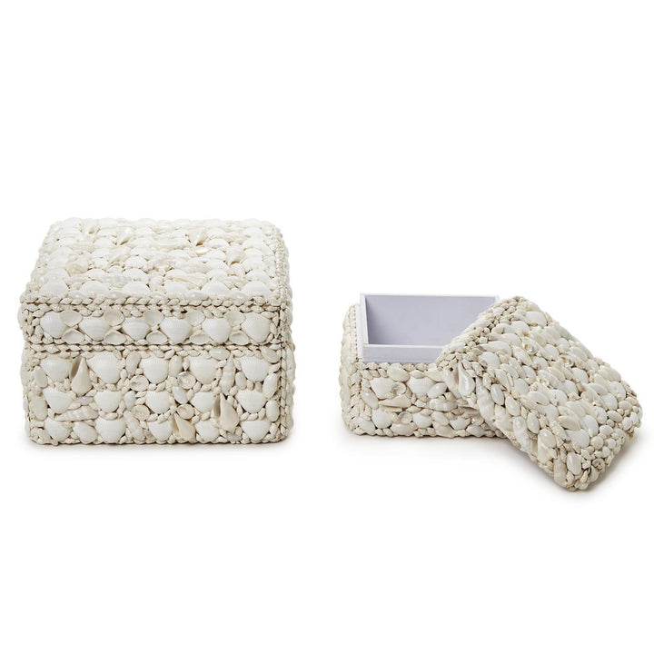 Shell Rectangle Box, Large