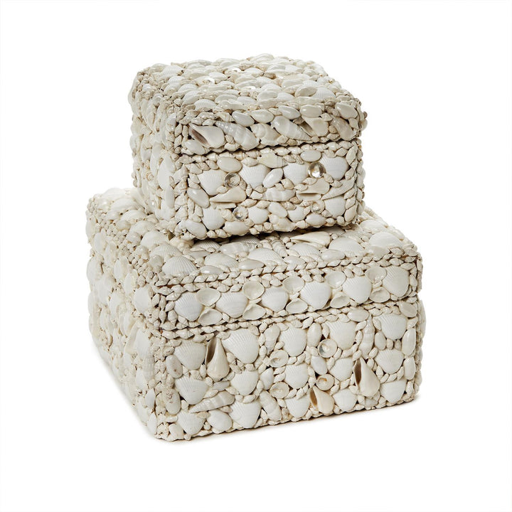 Shell Rectangle Box, Large