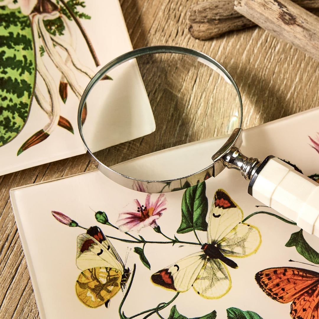 Botanical Glass Trinket Tray