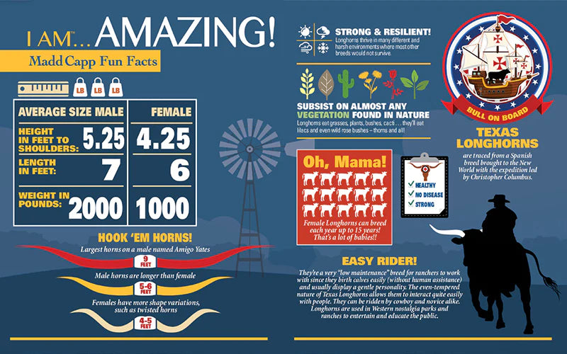 I am Longhorn Puzzle