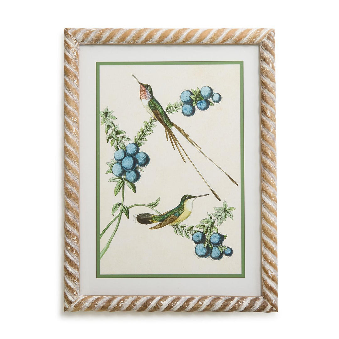 Hummingbird Framed Wall Art Prints
