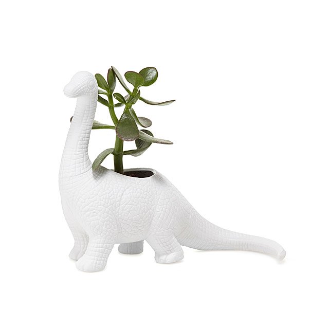 Aplantasaurus Plant Pot