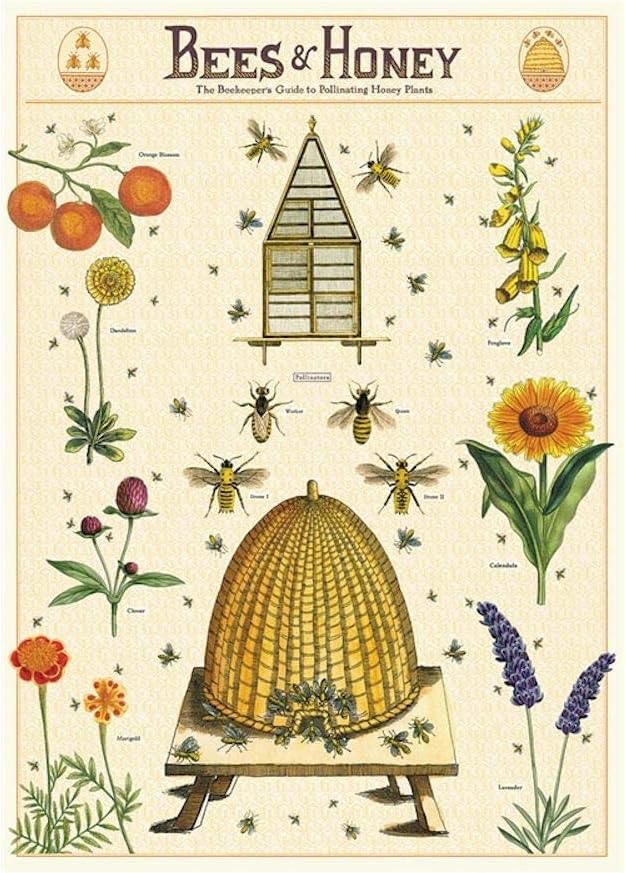 Bees & Honey: Beekeepers Guide to Pollinating Honey Plants Vintage Art Poster