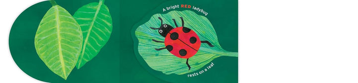 Name your Colors (and Critters, Too)