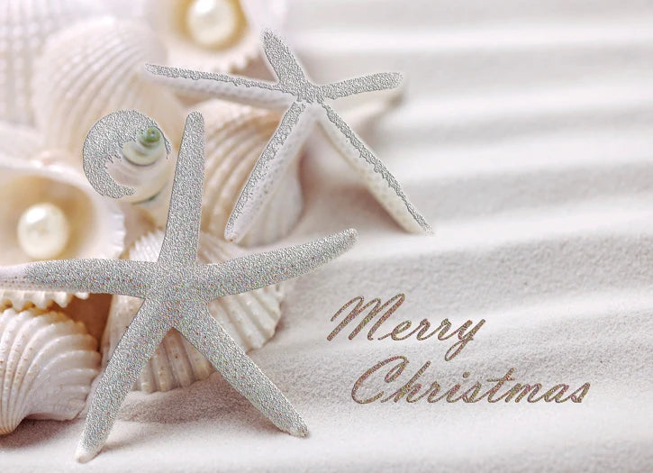 Starfish Shell Christmas Card Collection