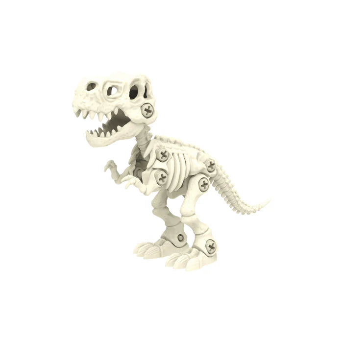Build-Your-Own Dinosaur Skeleton Kit