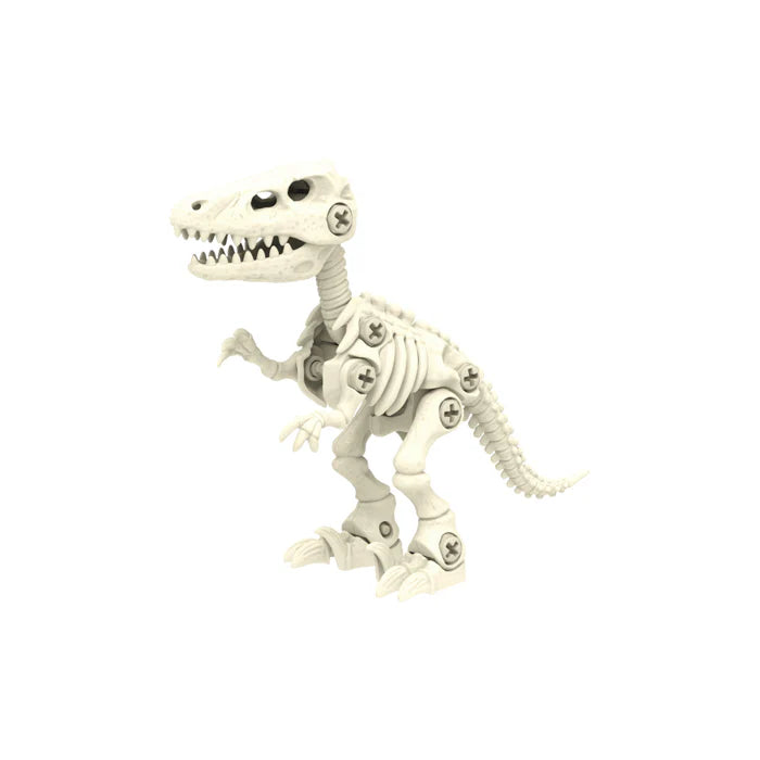 Build-Your-Own Dinosaur Skeleton Kit
