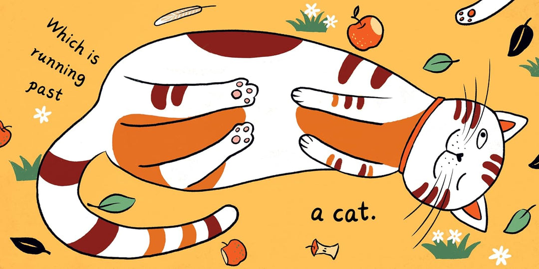 A Seed in the Universe