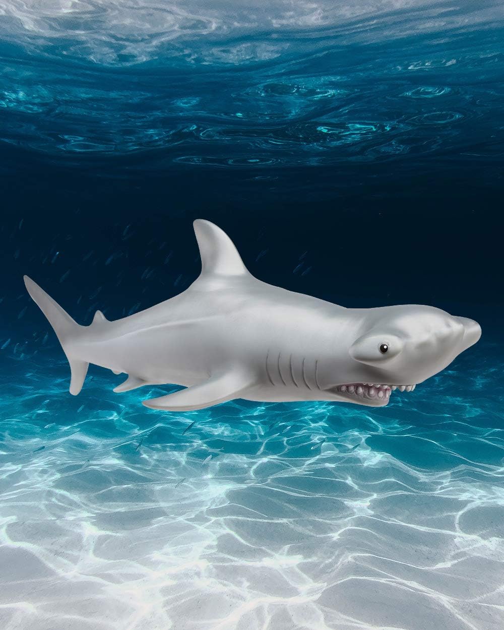 Epic Hammerhead Shark