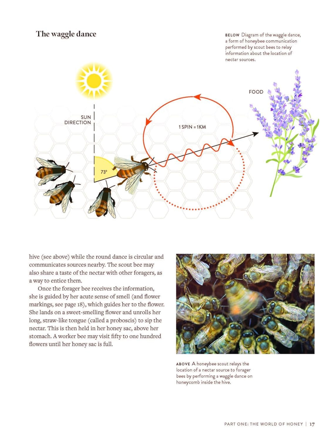 World Atlas of Honey