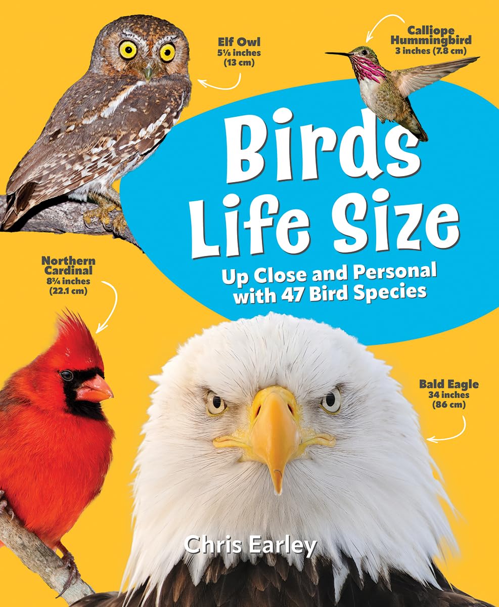 Birds Life Size: Up Close and Personal with 47 Bird Species