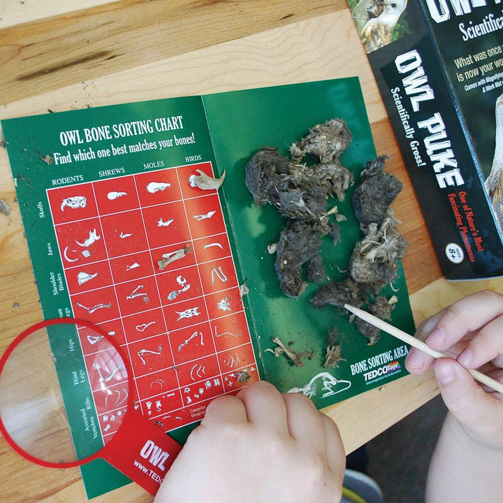 Owl Puke Dissection Kit