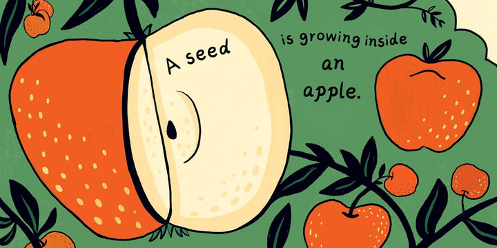 A Seed in the Universe