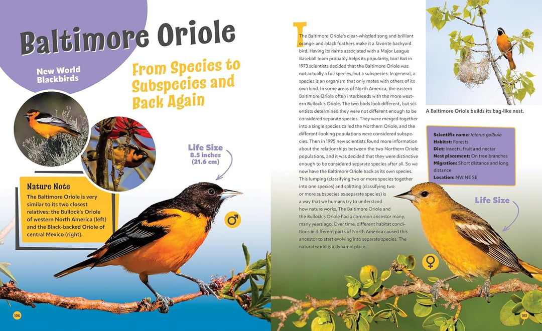 Birds Life Size: Up Close and Personal with 47 Bird Species