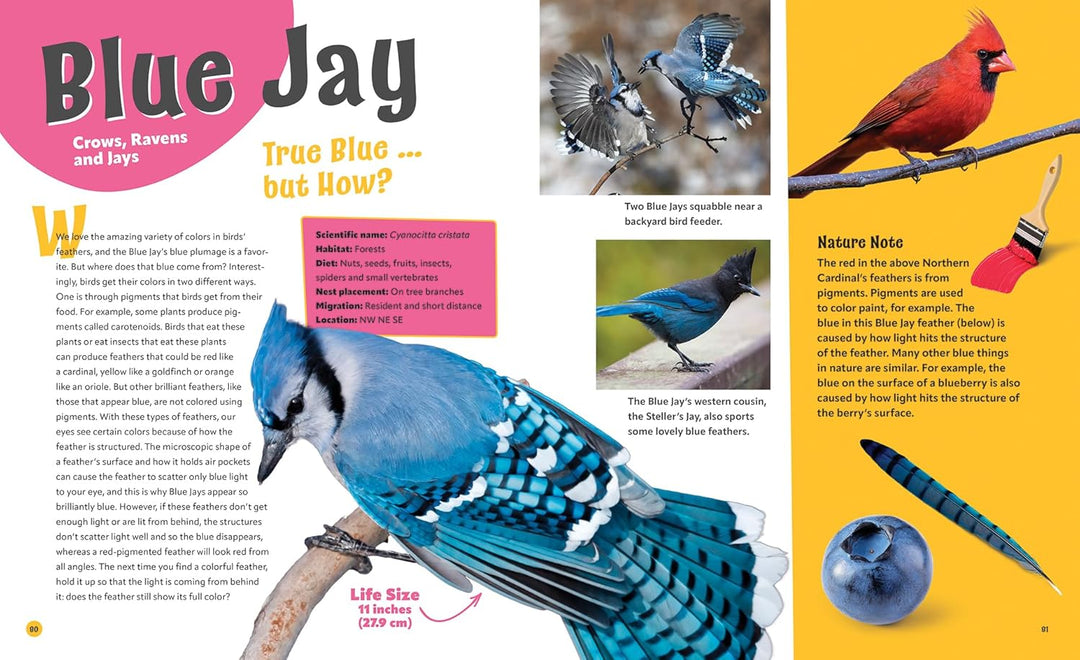 Birds Life Size: Up Close and Personal with 47 Bird Species