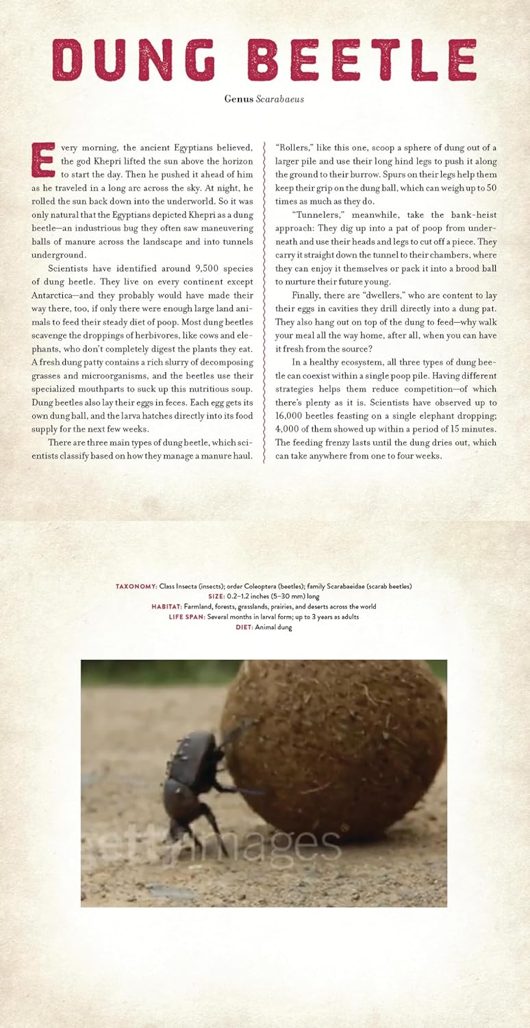 Bugs: A Photicular Book